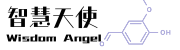 智慧天使国际贸易香港有限公司